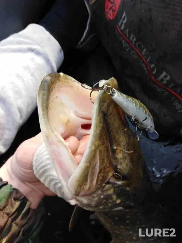 Pike — Vezyolka, Apr 09, 2019