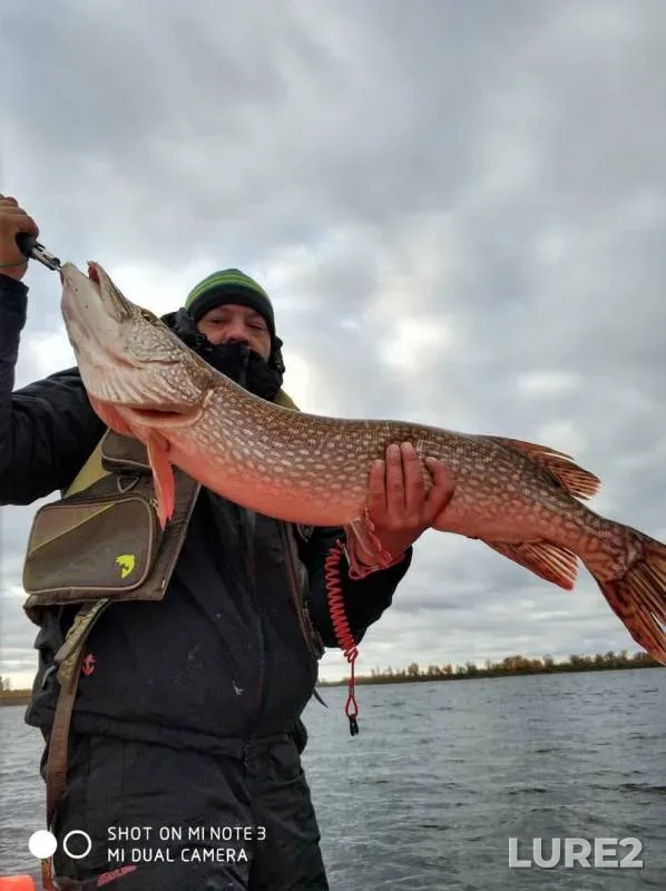 Perch, Pike — Irtysh, Oct 06, 2019