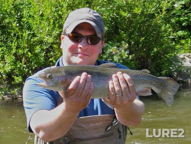 Rainbow trout — Tarryall Reservoir, Feb 25, 2018