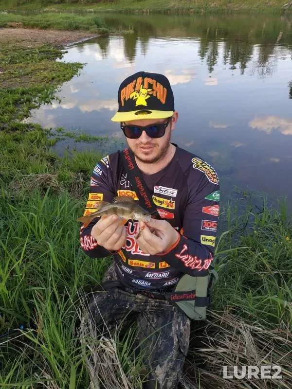 Perch — Volga, May 28, 2019