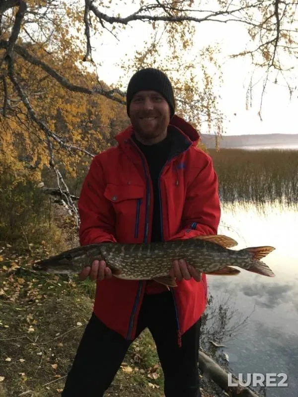 Pike — Ingol, Oct 07, 2019