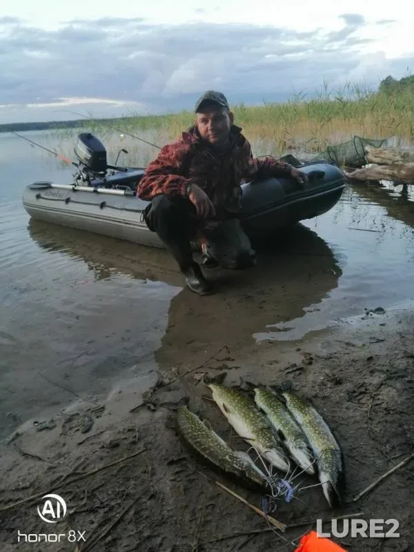 Pike — Richi, Oct 07, 2019
