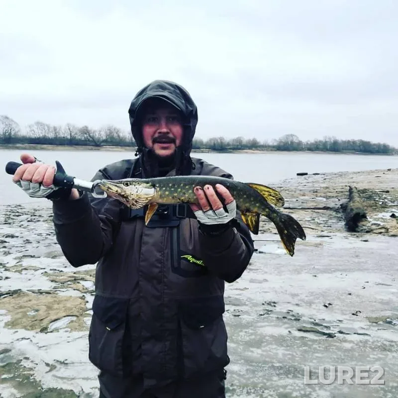 Pike — Moskva, Dec 09, 2019