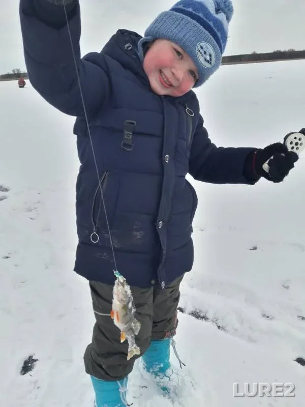 Perch — Matyra, Dec 09, 2019