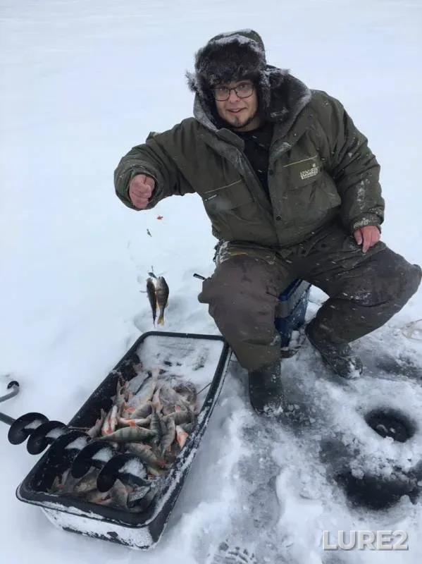 Perch — Bratskoye, Dec 16, 2019