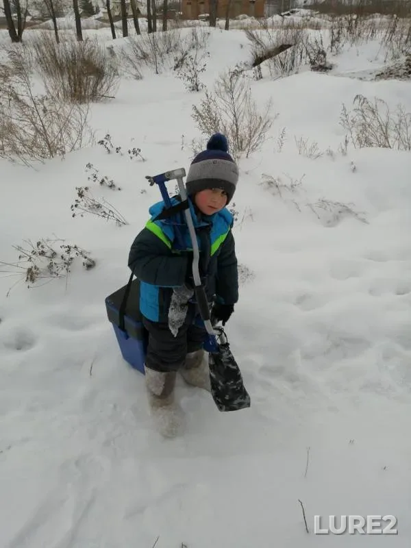 Perch — Tom, Dec 23, 2019