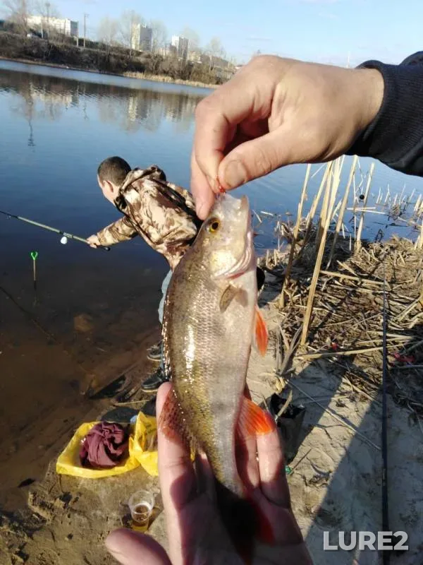 Perch — Respublika Tatarstan, Apr 23, 2019