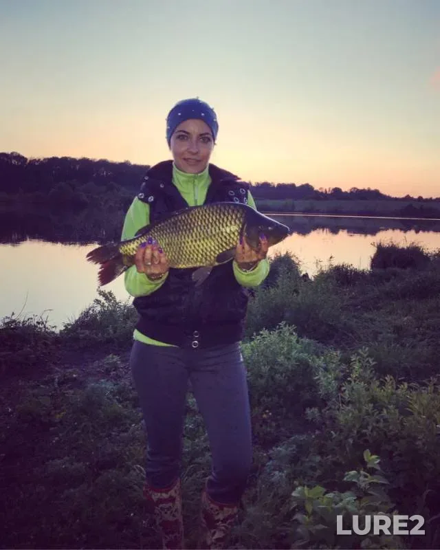 Carp — Voronezhskaya oblast, Jun 18, 2019