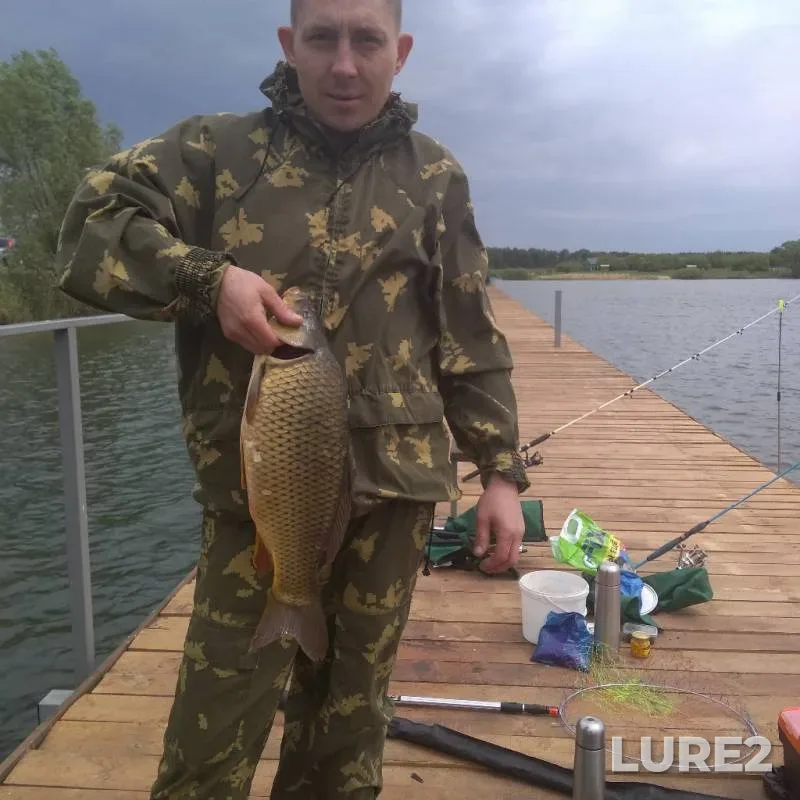 Carp — Vyadya, Jun 12, 2019