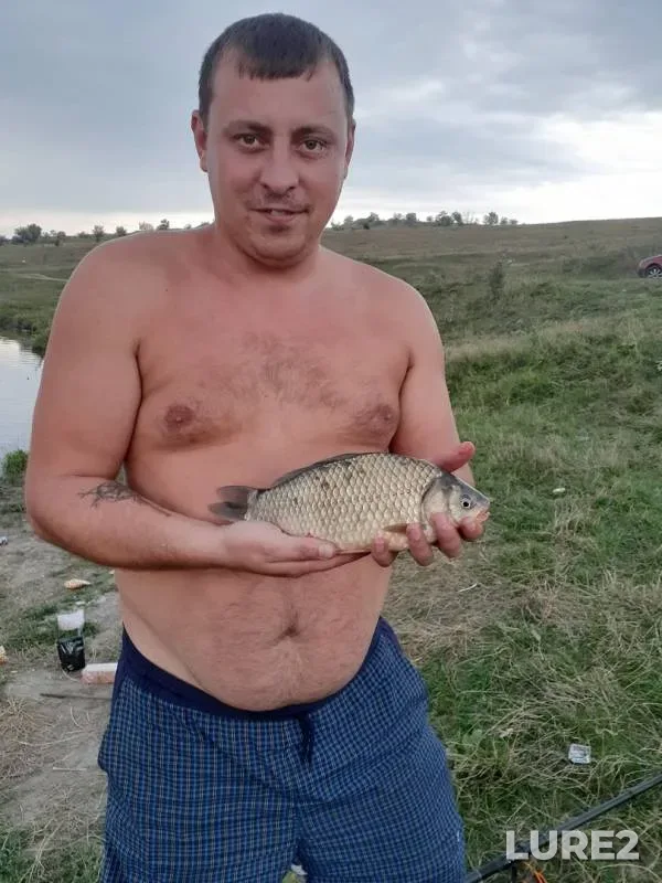 Crucian carp — Stavropolskiy kray, Jul 30, 2019