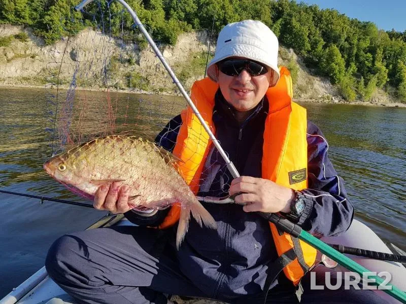 Bream — Kama, Jul 03, 2019