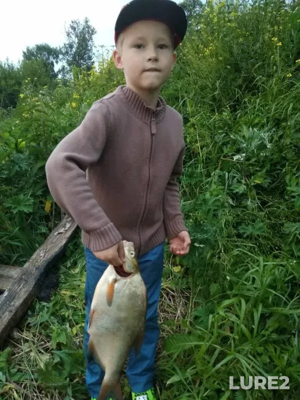 Bream — Moskva, Jun 20, 2018