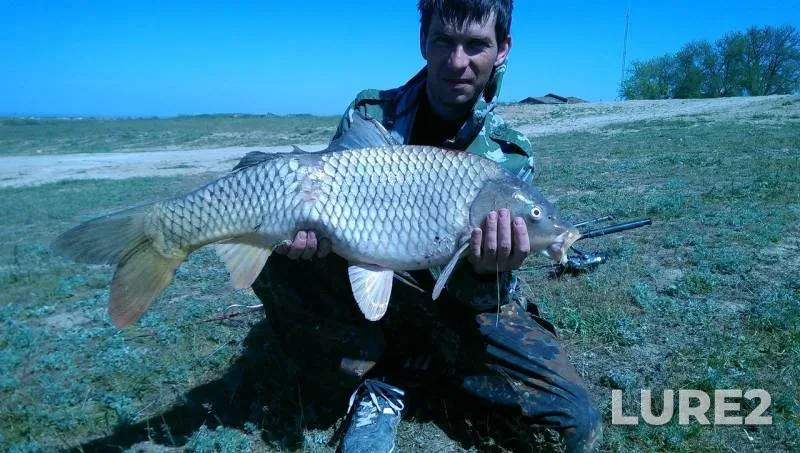 Carp — Kumo–Manychskiy kanal, May 19, 2018