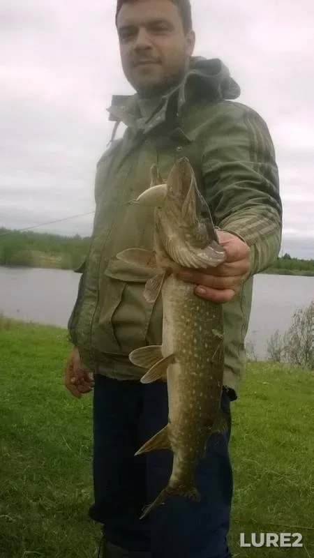 Pike — Bolshiye Kuliki, May 23, 2018