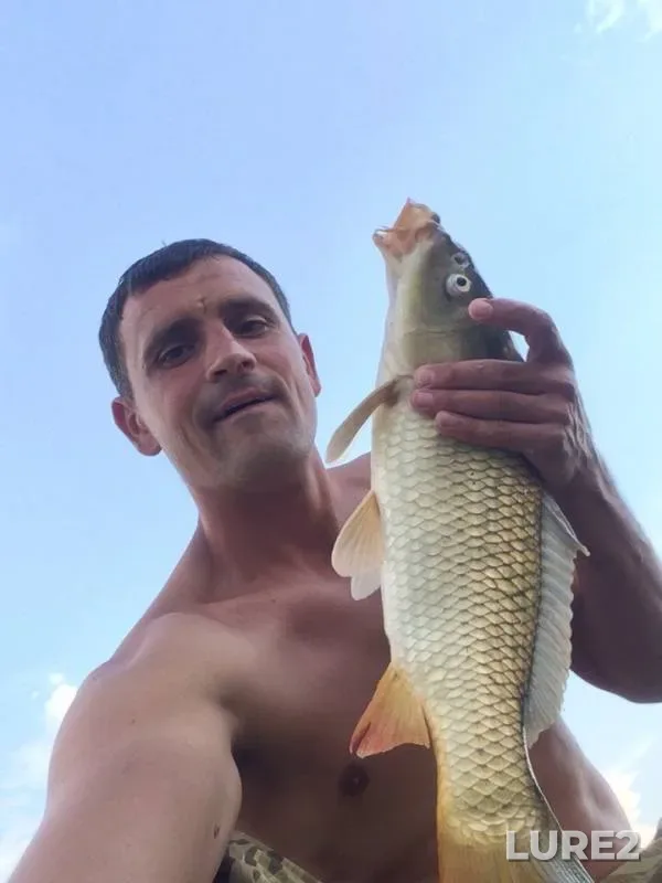 Carp — Avtonomna Respublika Krim, Jul 07, 2018