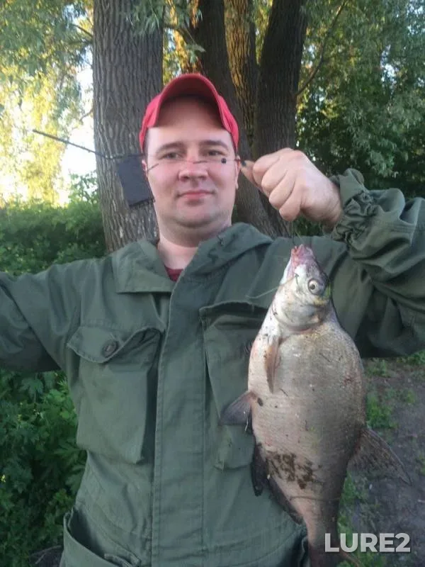 Bream — Moskva, May 28, 2018