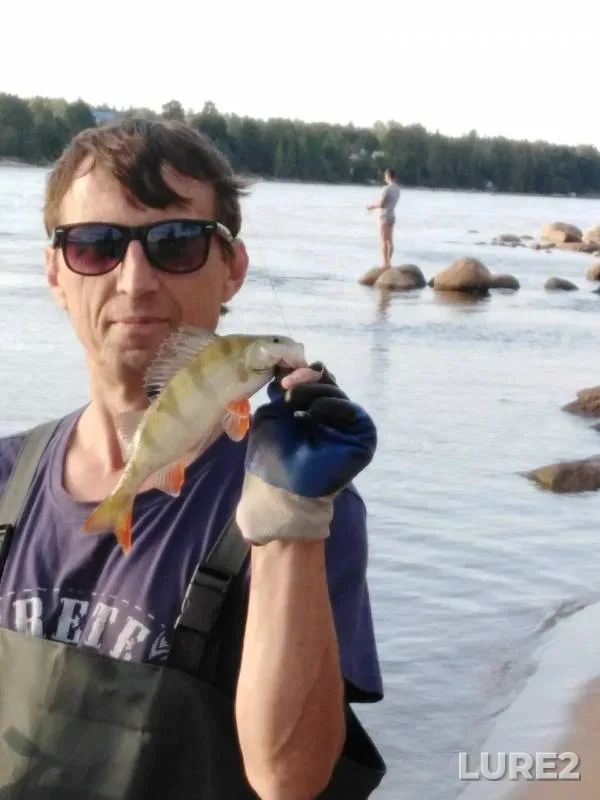 Perch — Volgo-Baltiyskiy kanal, Aug 25, 2019