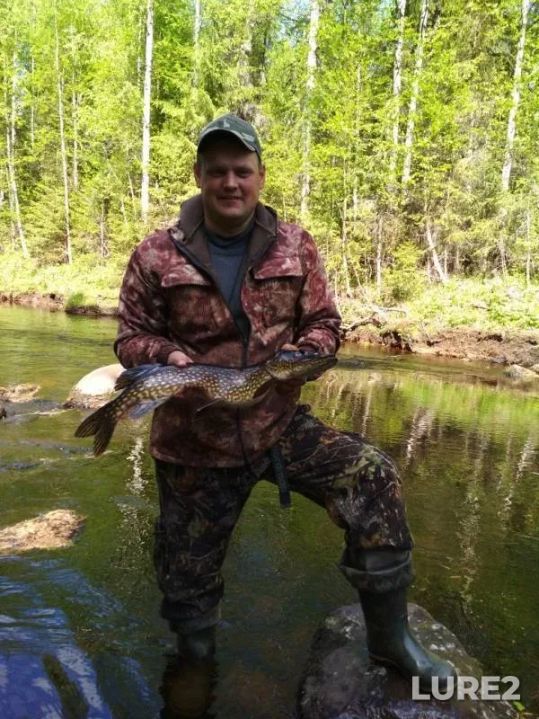 Pike — Maloshuyka, Jun 04, 2018
