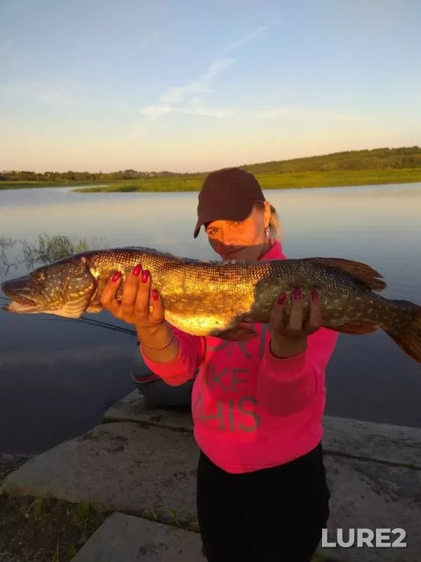 Pike, Zander — Ugla, Jun 17, 2019