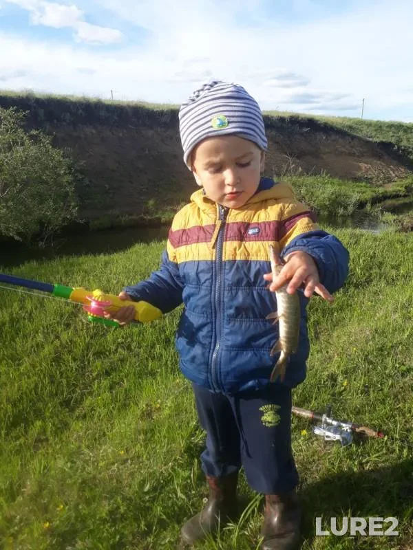 Pike — Urlyada, Jun 25, 2019