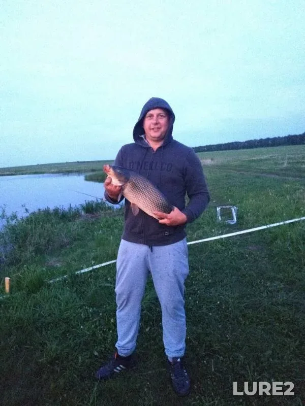 Carp — Ryazanskaya oblast, Jul 03, 2019