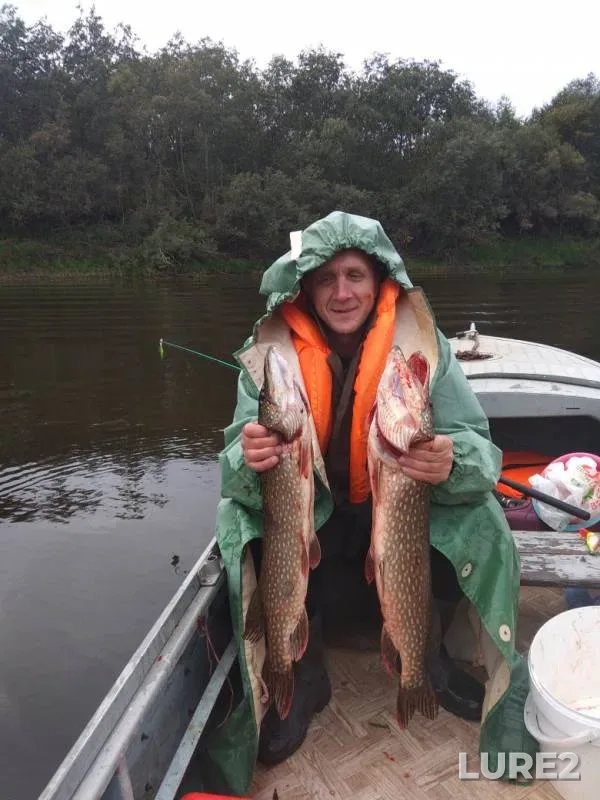 Pike — Lezha, Apr 23, 2019