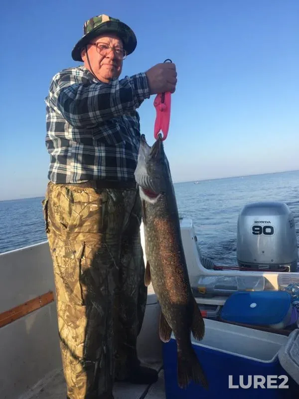 Pike — Leningradskaya oblast, Lodeynopolskiy rayon, Jul 29, 2019