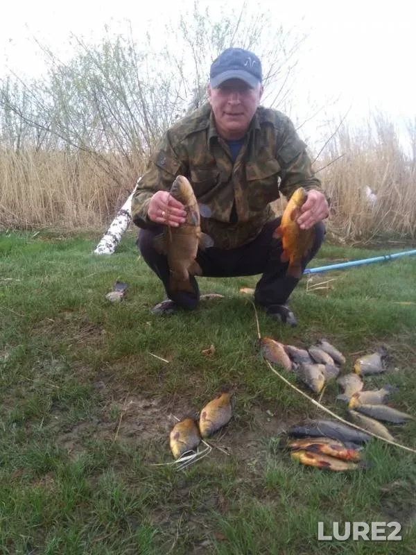 Crucian carp — Druzhenskoye, May 14, 2019