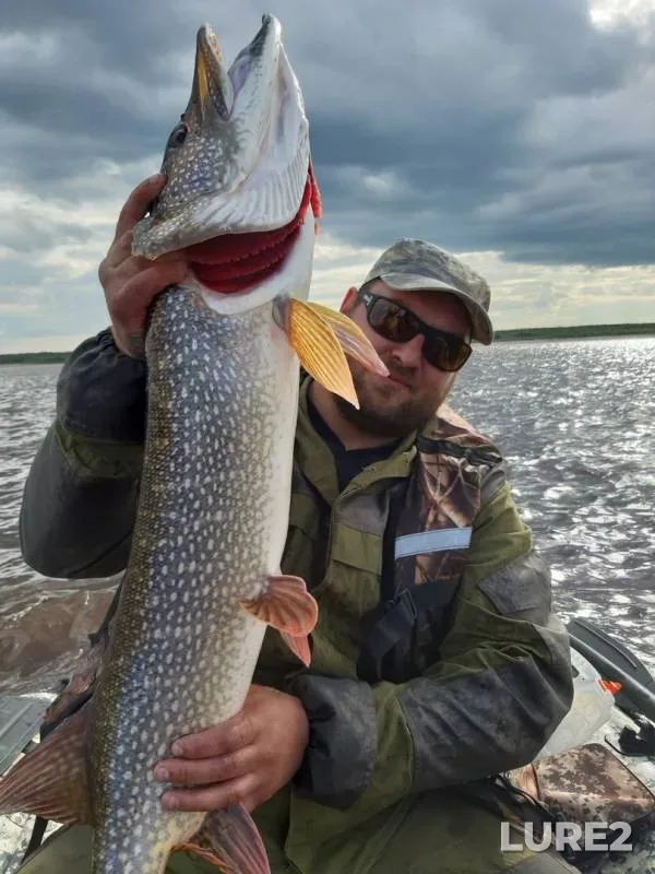 Pike — Ob, Aug 05, 2019