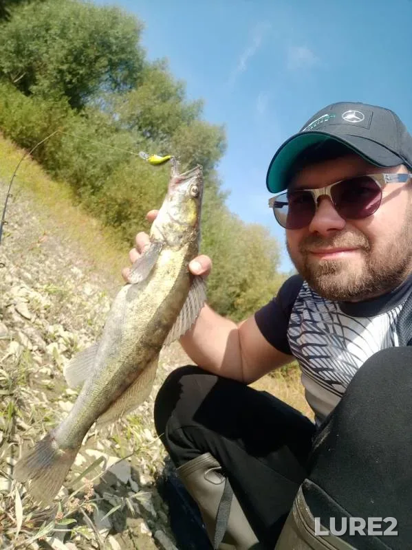 Perch, Zander — Oka, Sep 09, 2019