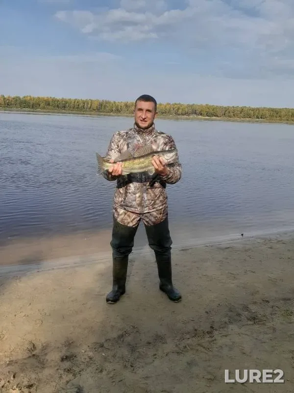 Zander — Irtysh, Sep 16, 2019