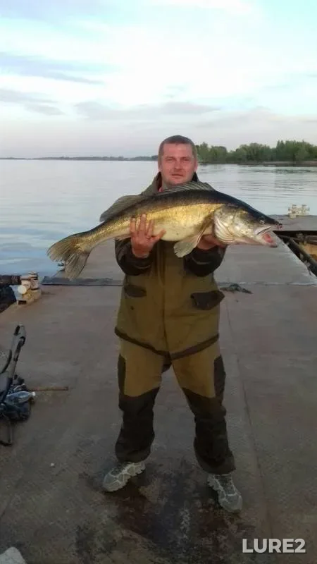 Zander — Samarskaya oblast, Dec 21, 2019