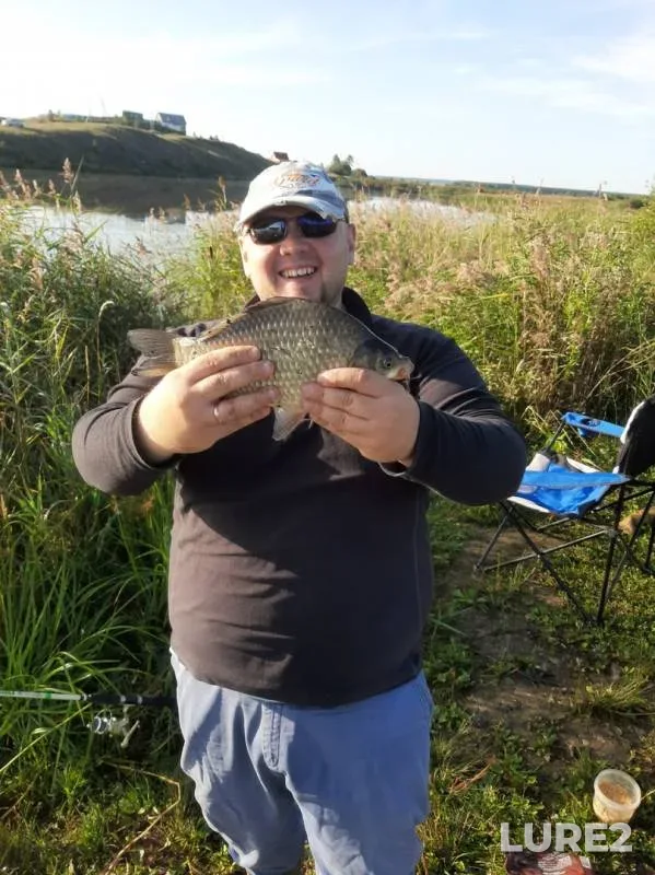 Crucian carp — Karasi, Aug 26, 2019