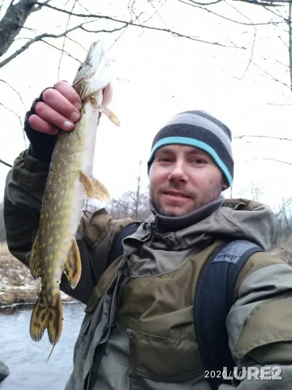 Pike — Leningradskaya oblast, Lomonosovskiy rayon, Jan 07, 2020