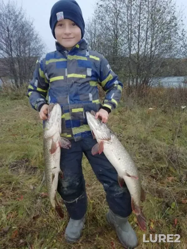 Pike — Besputa, Oct 12, 2019