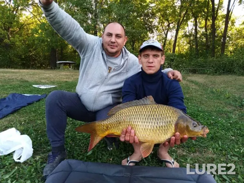 Carp — Don, Oct 19, 2019