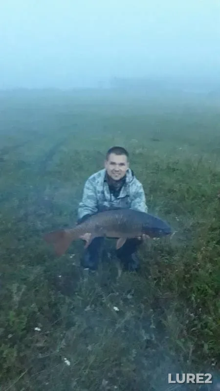 Carp — Udmurtskaya Respublika, Kiyasovskiy rayon, Aug 24, 2019