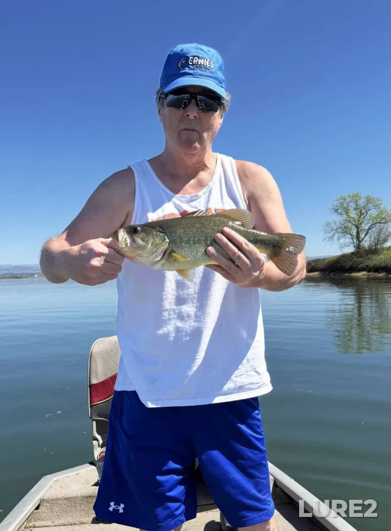 Largemouth bass — Thermalito Afterbay, Feb 11, 2018