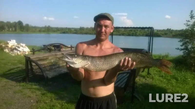Pike — Kemerovskaya oblast, Aug 03, 2017