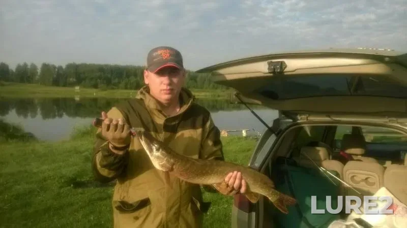 Pike — Kemerovskaya oblast, Aug 02, 2017