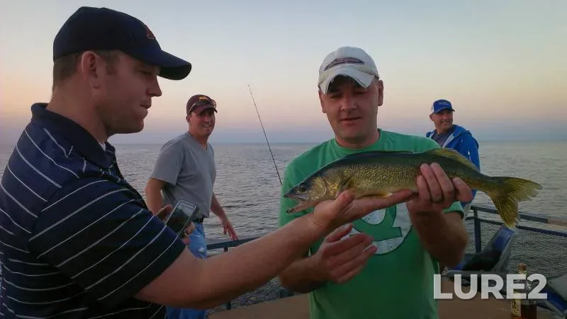 Walleye — Minnesota, Mille Lacs County, Nov 01, 2018