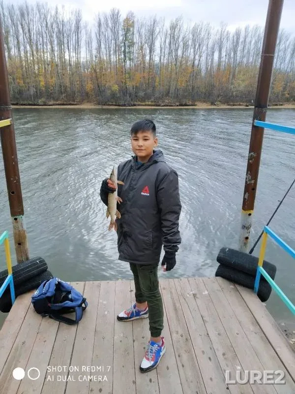 Pike — Shagan, Oct 11, 2019
