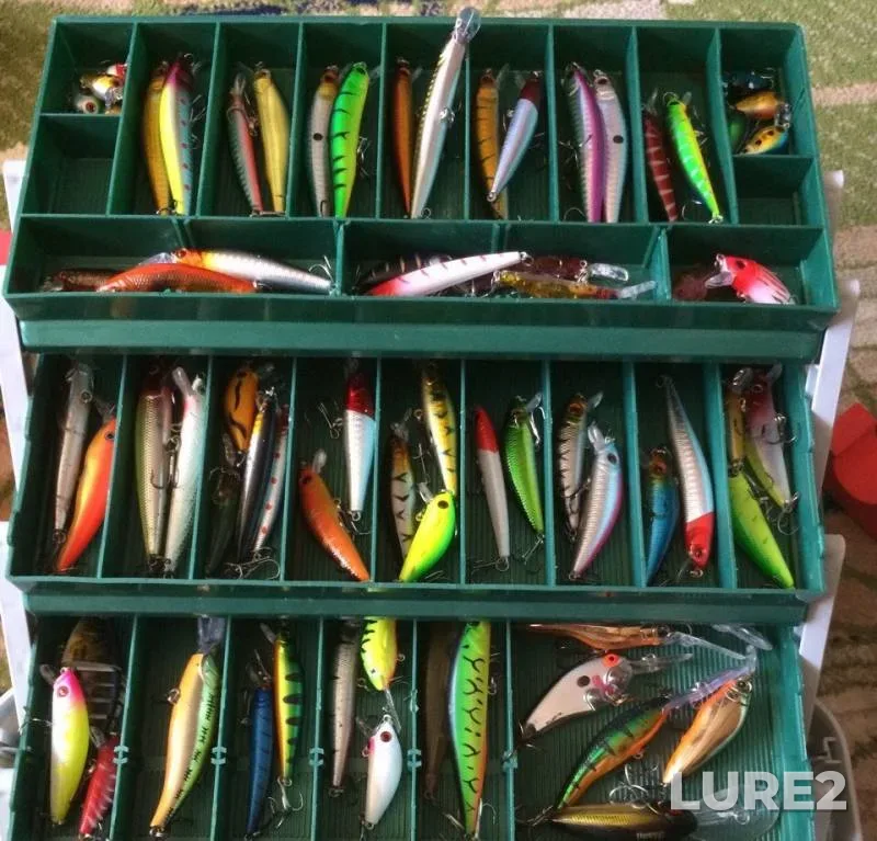 Perch, Pike — Luga, May 22, 2018