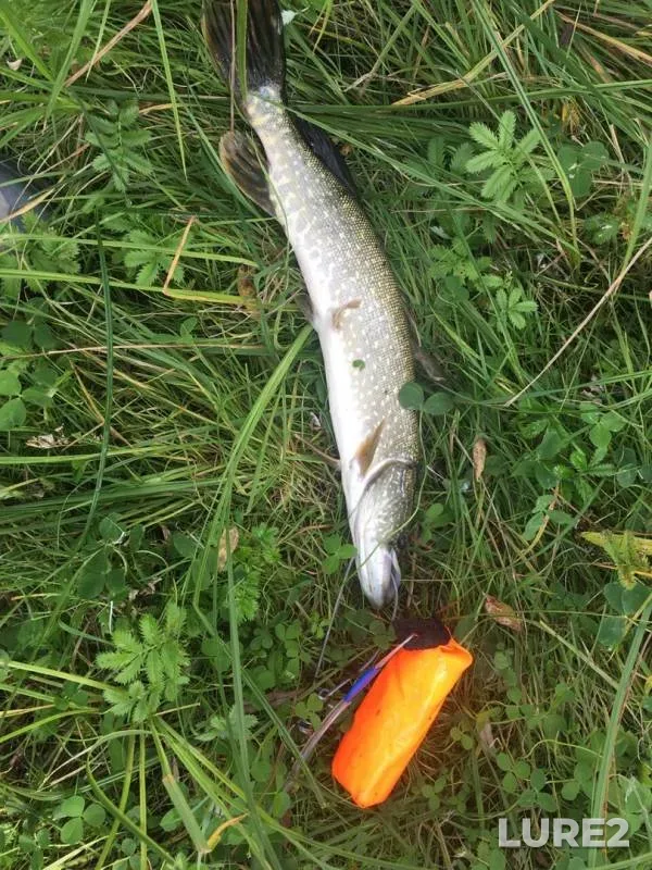 Pike — Yesіl, Sep 11, 2019
