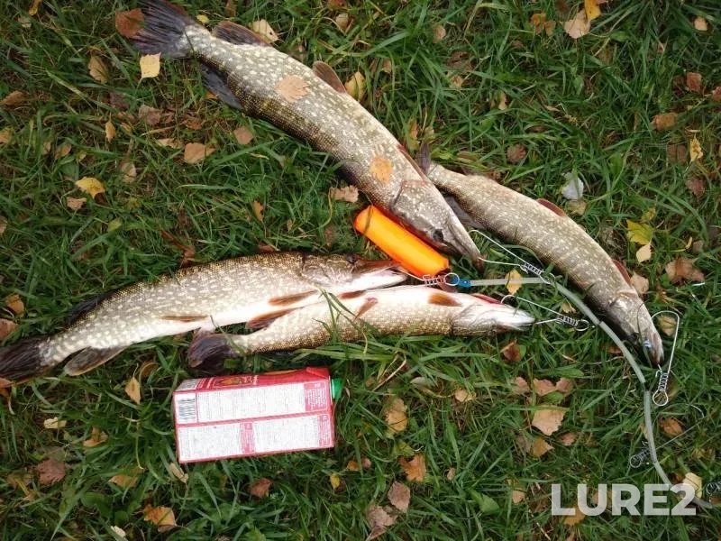 Pike — Kandry-Kul, Sep 29, 2019