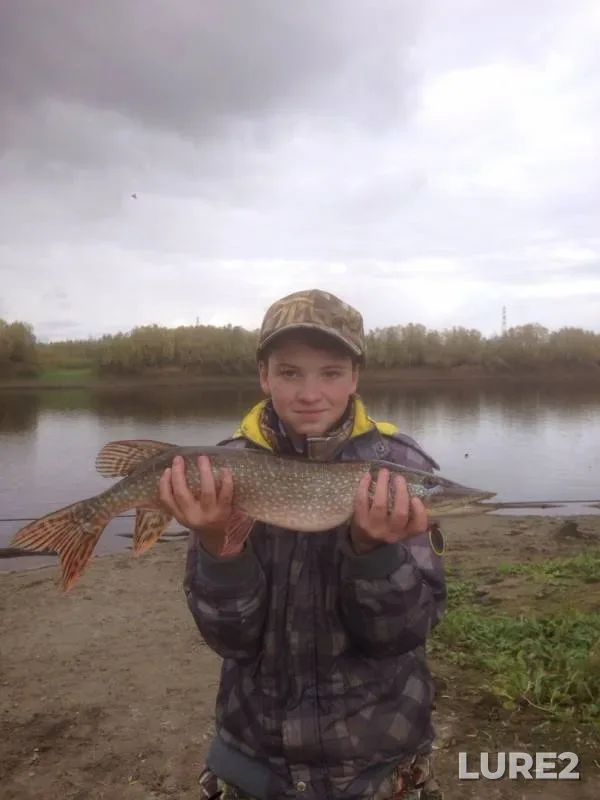 Crucian carp, Pike — protoka Pokomas, Sep 29, 2019