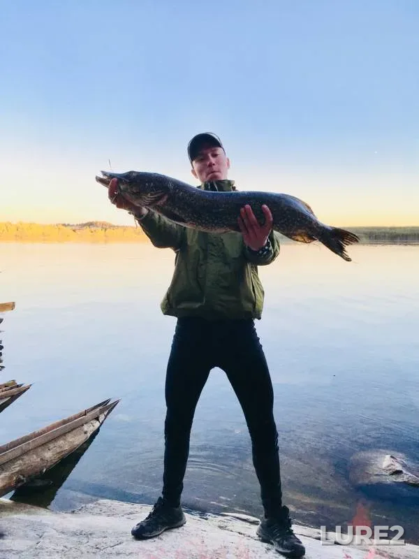 Pike — Kovdozero, Jun 17, 2019