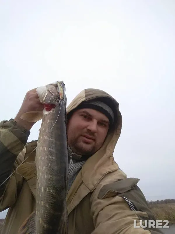 Perch, Pike — Lipa, Oct 12, 2019