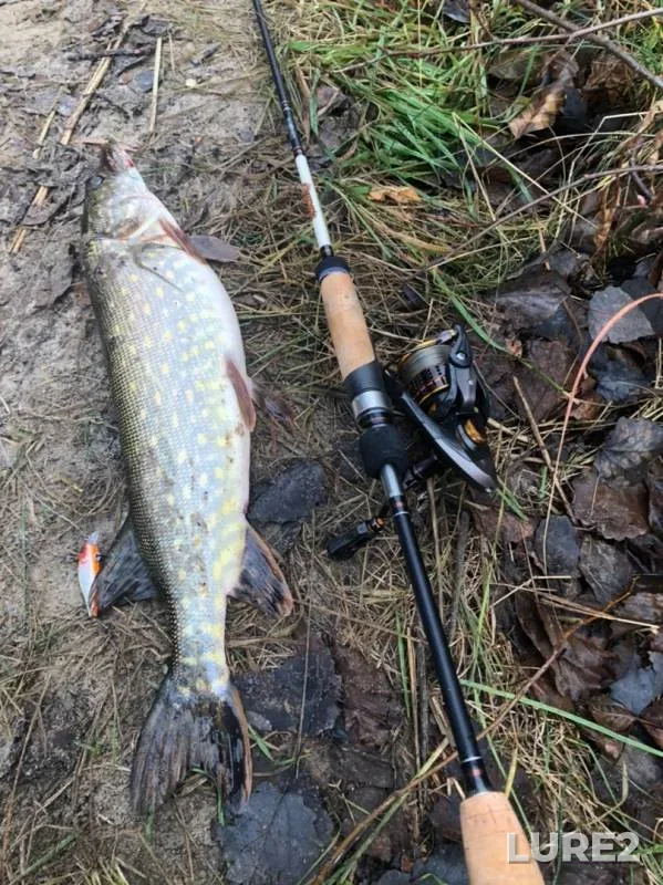 Pike — Kovashi, Nov 04, 2019