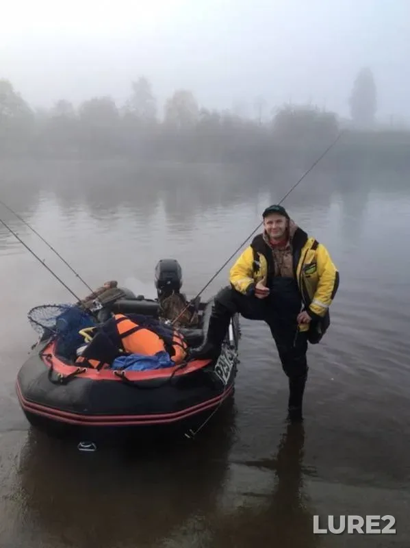 Perch — Novoladozhskiy kanal, Sep 29, 2019